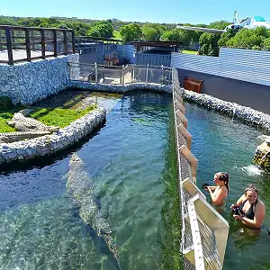 Afrikanos Crocodile Experience