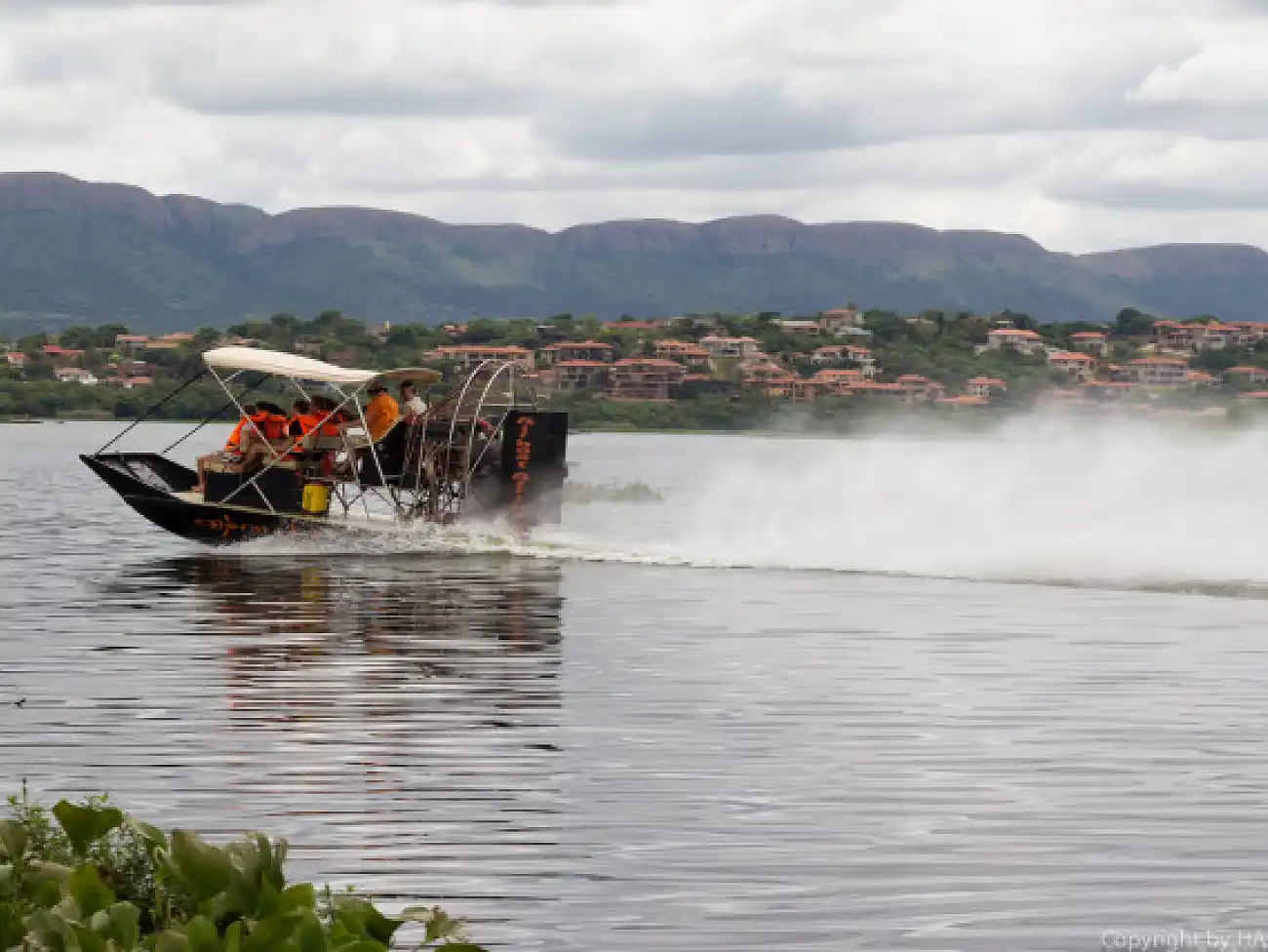 Airboat Rides in Hartbeespoort Dam (Harties)