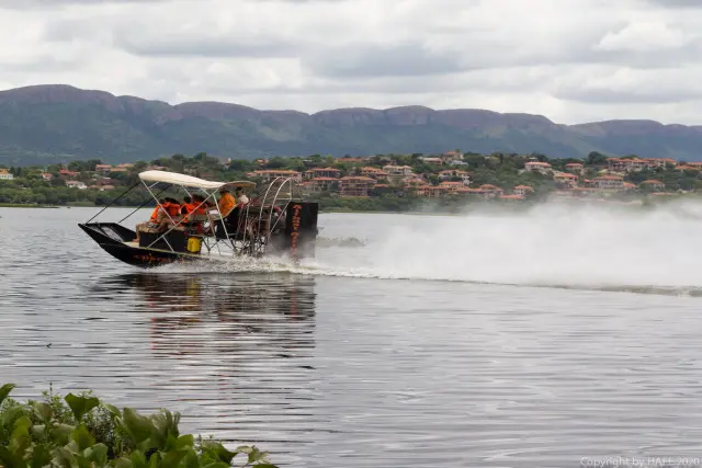 Airboat Rides
