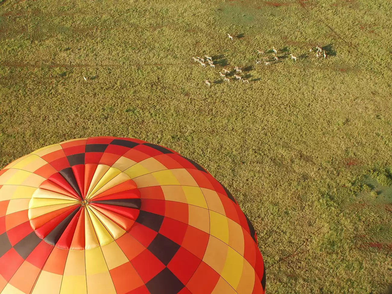 Hot Air Balloon Rides in Gauteng