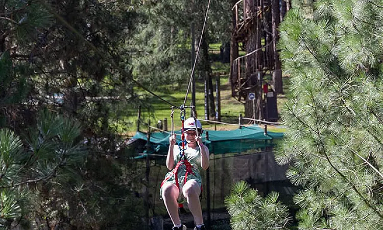 All Out Adventures - Zip Line