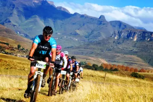 All Out Adventures - Mountain Biking