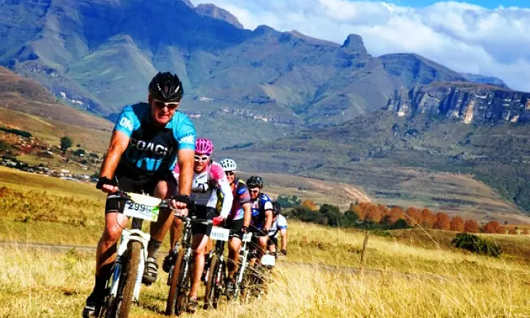 All Out Adventures - Mountain Biking