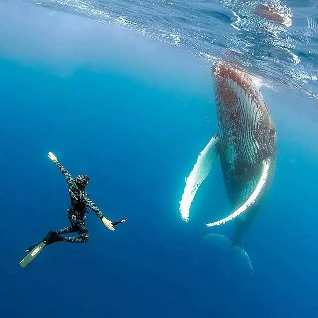Snorkeling