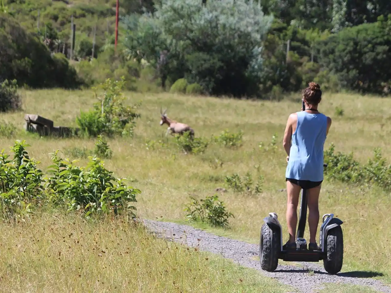 Segway Tours on the Wild Coast