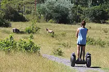 Segway Tours