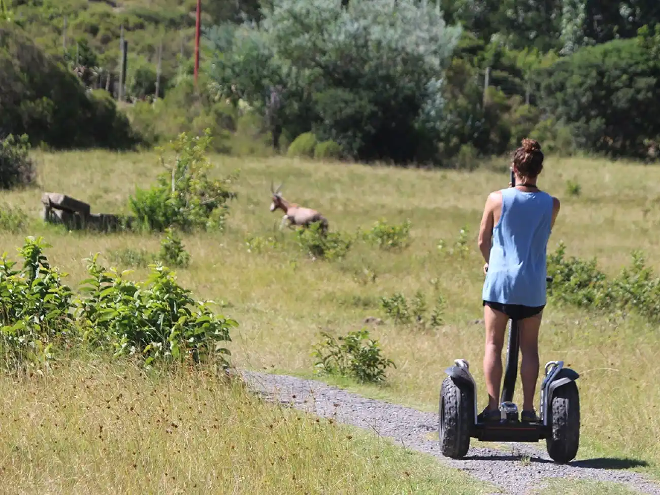 Segway Tours on the Wild Coast