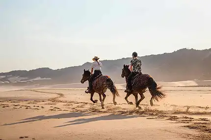 Oceana Reserve - Beach Horse Rides