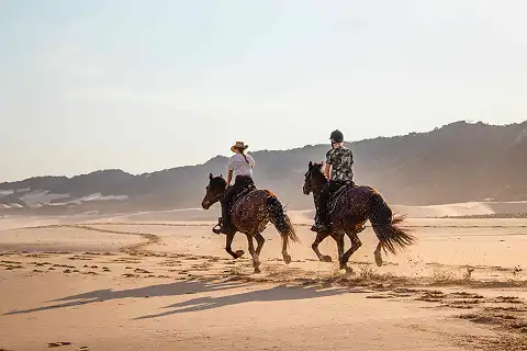 Oceana Reserve - Beach Horse Rides