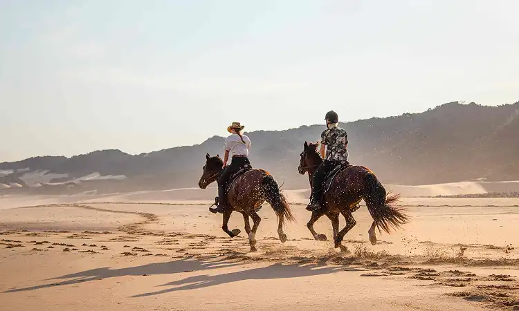 Oceana Reserve - Beach Horse Rides
