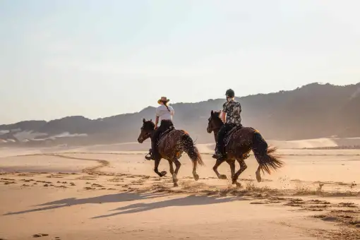 Oceana Reserve - Beach Horse Rides