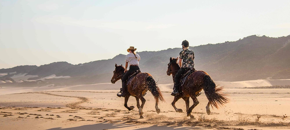 Oceana Reserve - Beach Horse Rides