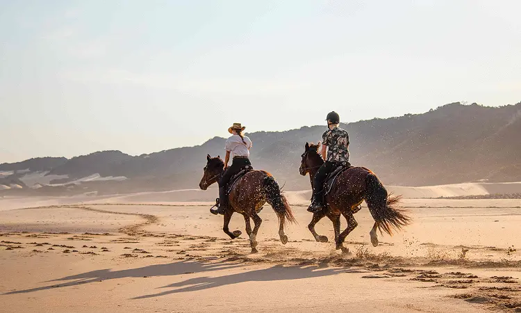 Oceana Reserve - Beach Horse Rides