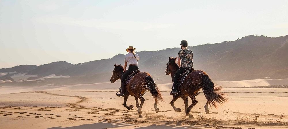 Oceana Reserve - Beach Horse Rides