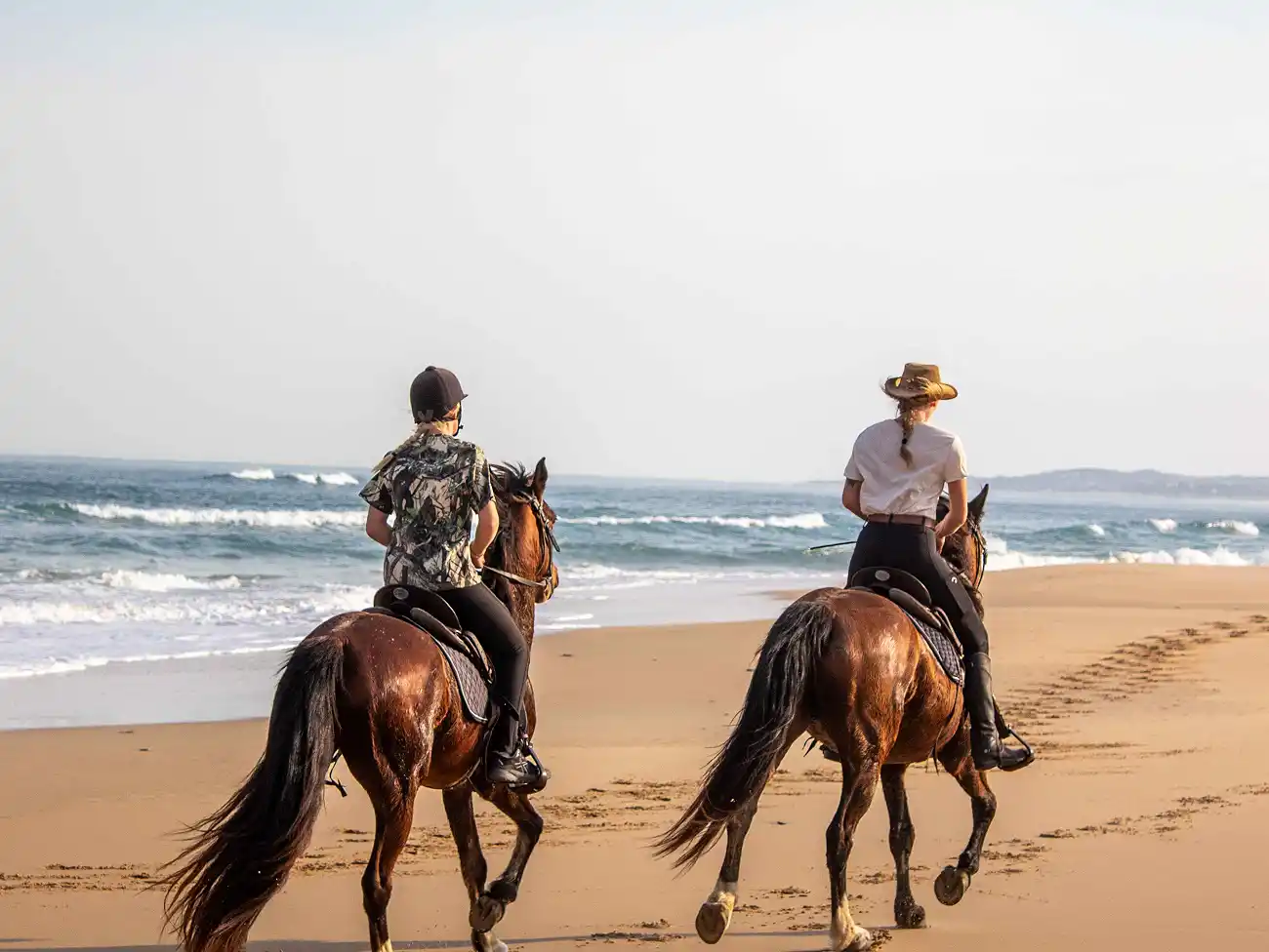 Beach Horse Rides on the Wild Coast