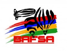 Balloon & Airship Federation of South Africa (BAFSA)