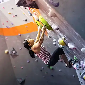 BLOC11 - Indoor Climbing