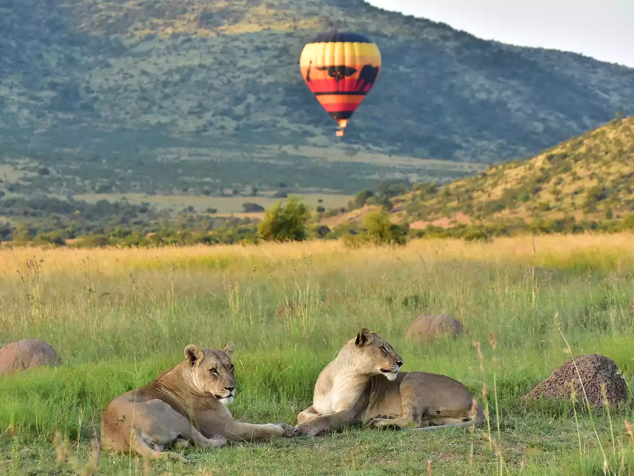 Hot Air Balloon rides in the Pilanesberg