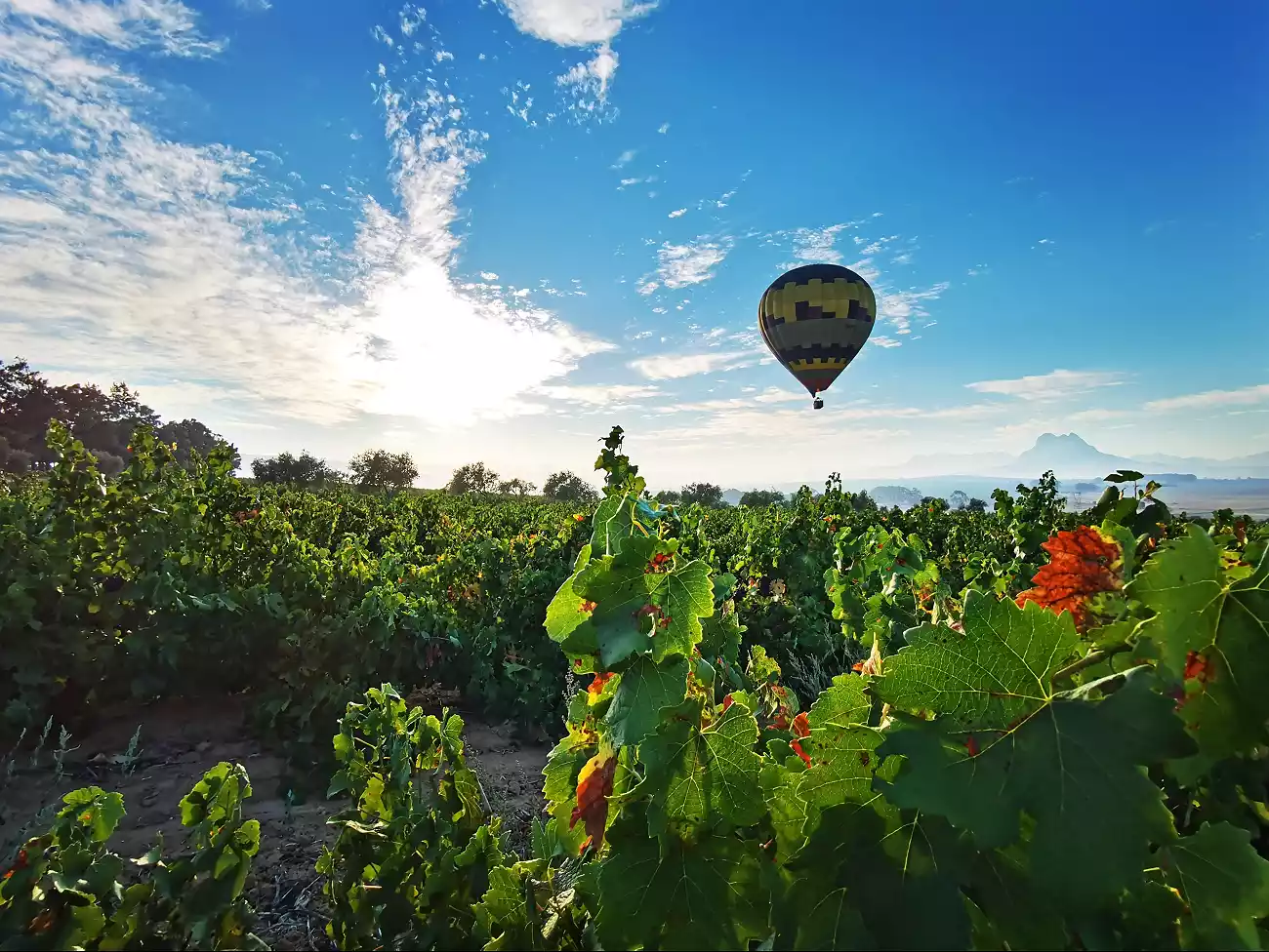 Hot Air Ballooning in Cape Town 