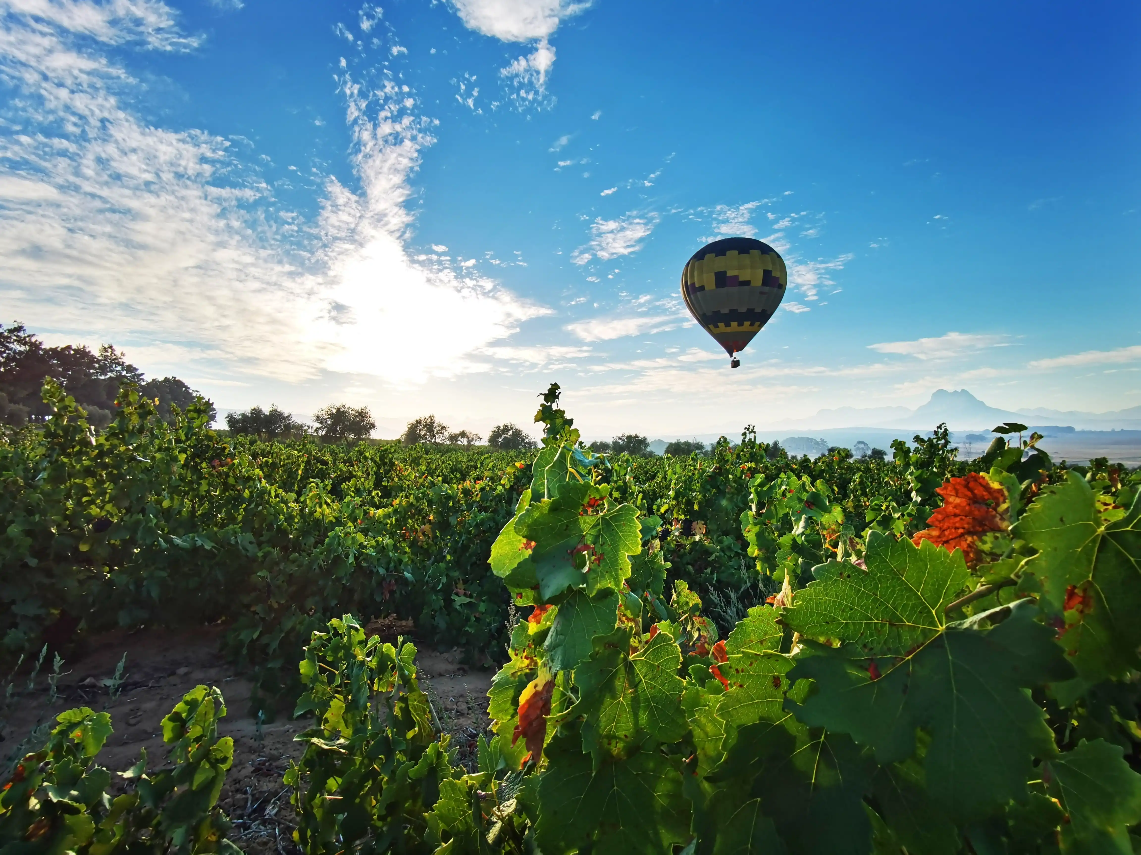 Hot-Air Balloon rides