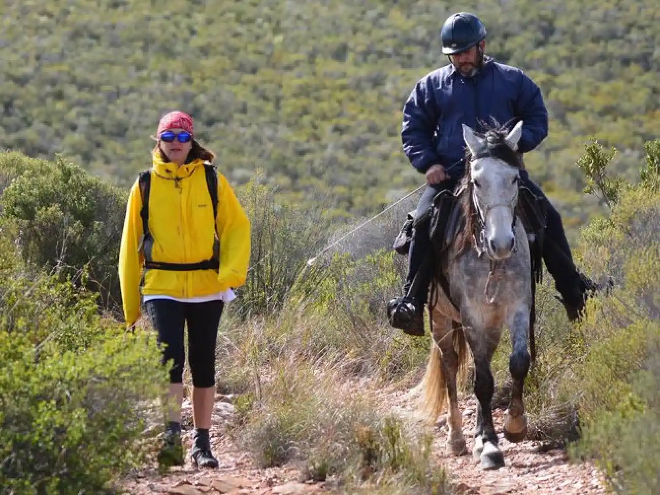 Camino Routes in the Berg River Valley