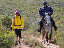 Camino Routes