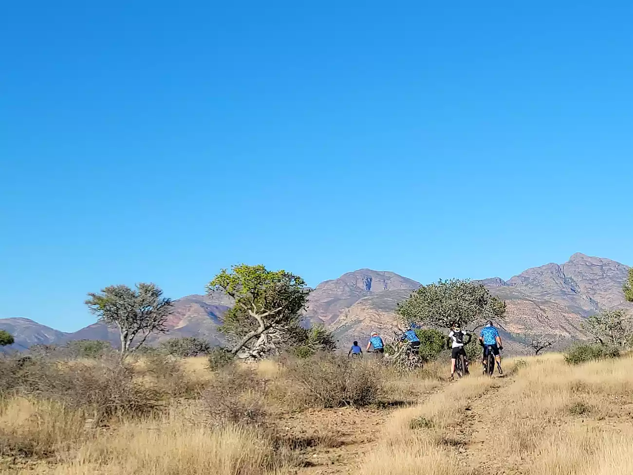 Mountain biking in Steytlerville