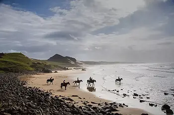 Beach Horse Rides