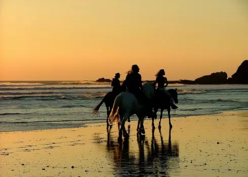 Beach Horse Rides