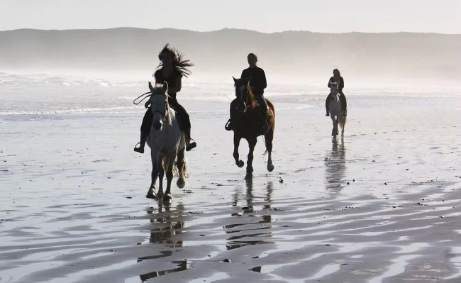 {def_description_image_text}