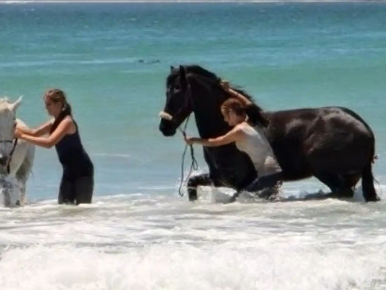 Beach Horse Riding in Stompneusbaai