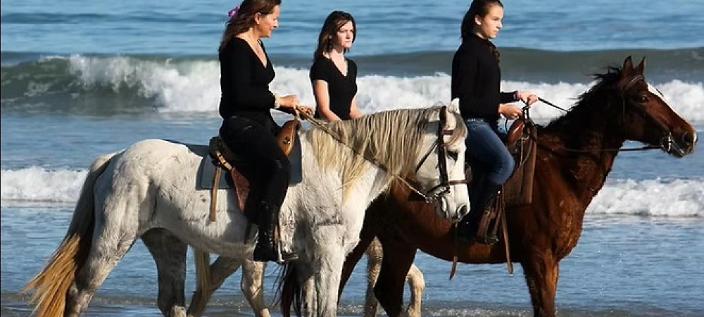 Drikus Horse Trails - Beach Horse Rides
