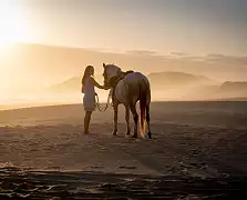 Beach Horse Rides
