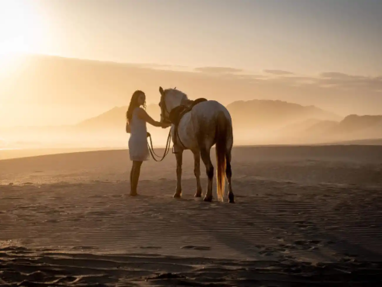 Beach Horse Rides in Oyster Bay