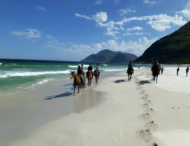 Beach Horse Rides