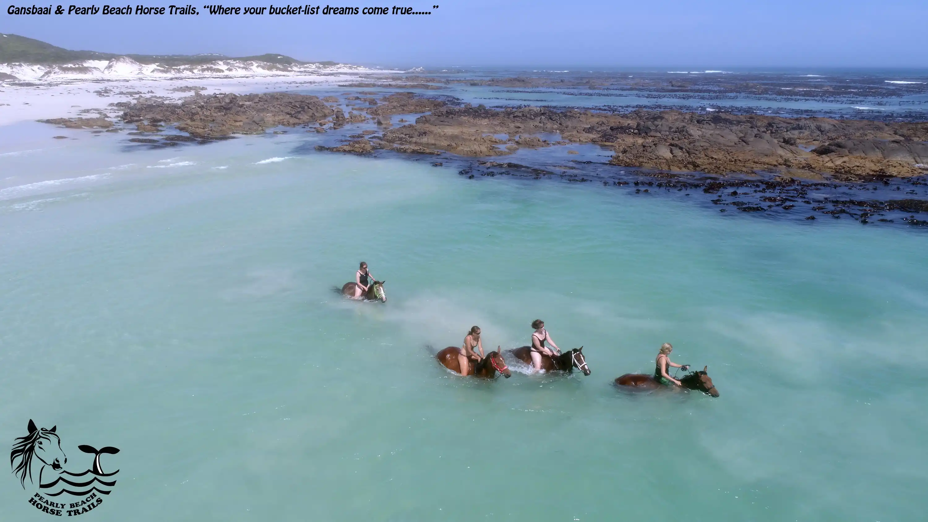 Beach Horse Rides