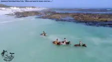 Beach Horse Rides
