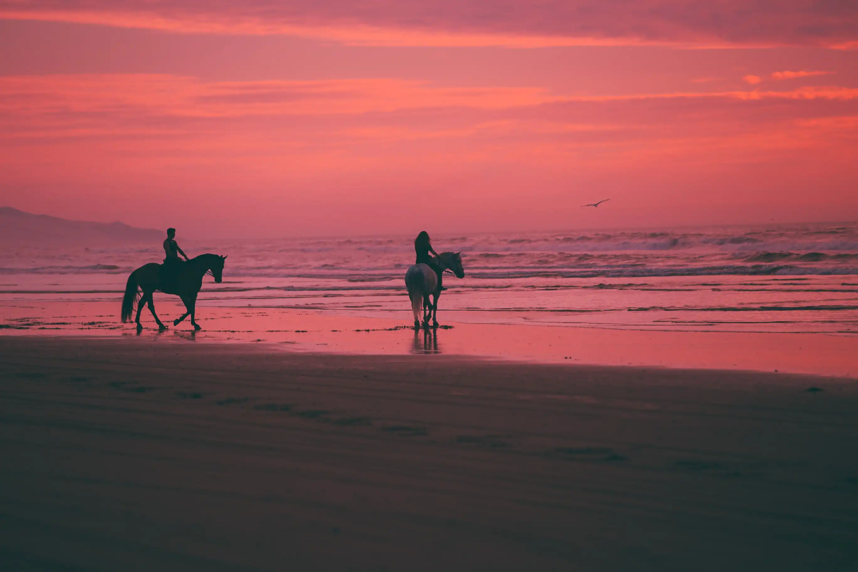 Beach Horse Rides