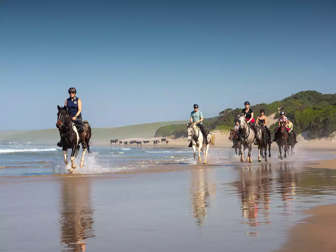 Beach Horse Rides in Kei Mouth
