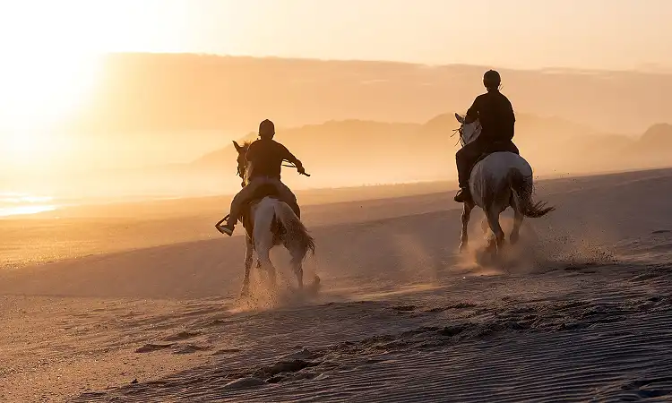 Oyster Bay Lodge - Beach Horse Rides