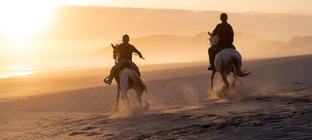 Oyster Bay Lodge - Beach Horse Rides