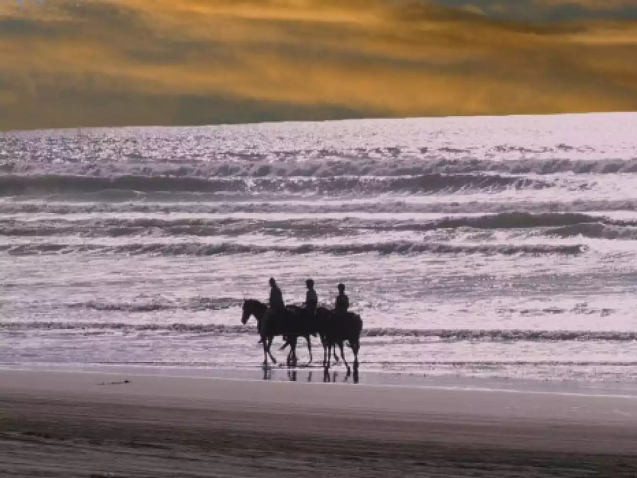 Horse Riding in Paternoster