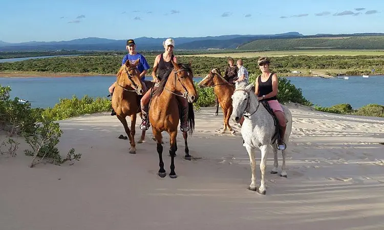 Papiesfontein Beach Horse Rides
