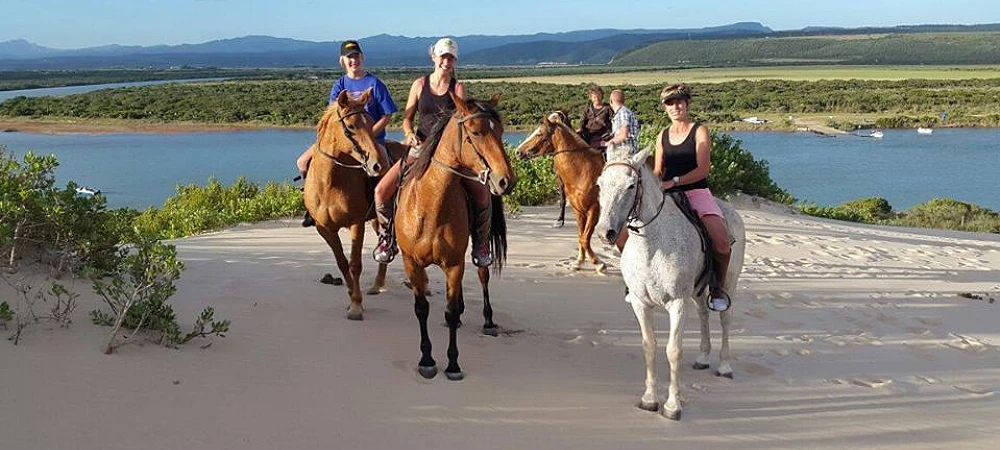 Papiesfontein Beach Horse Rides