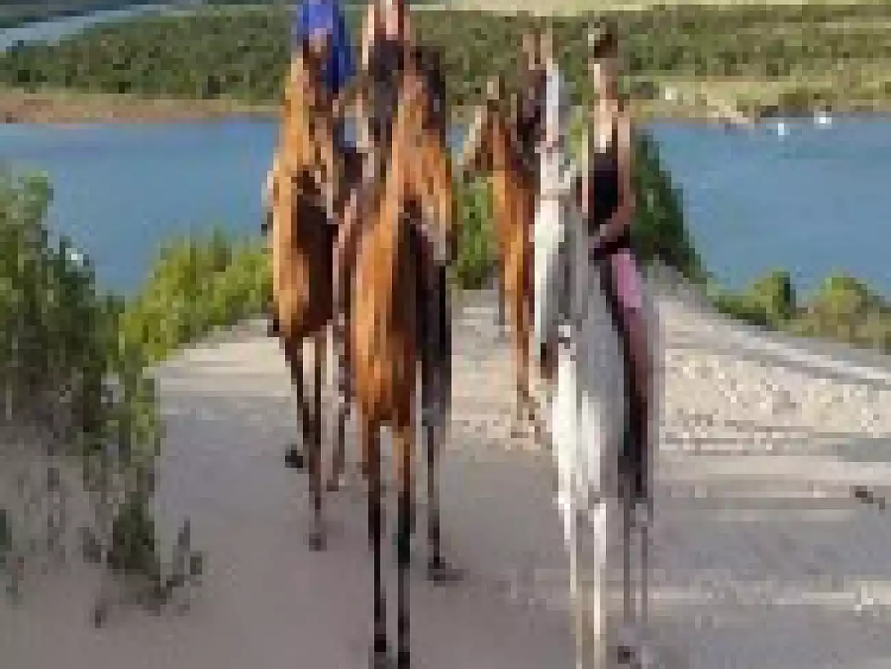 Beach Horse Rides in Algoa Bay