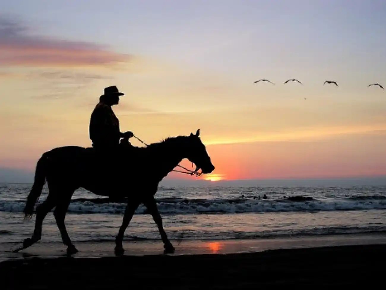 Beach Horse Rides on the KwaZulu-Natal South Coast