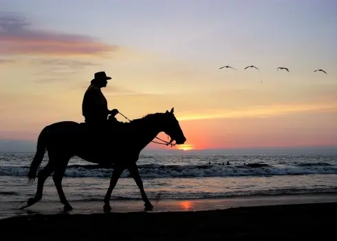 Beach Horse Rides