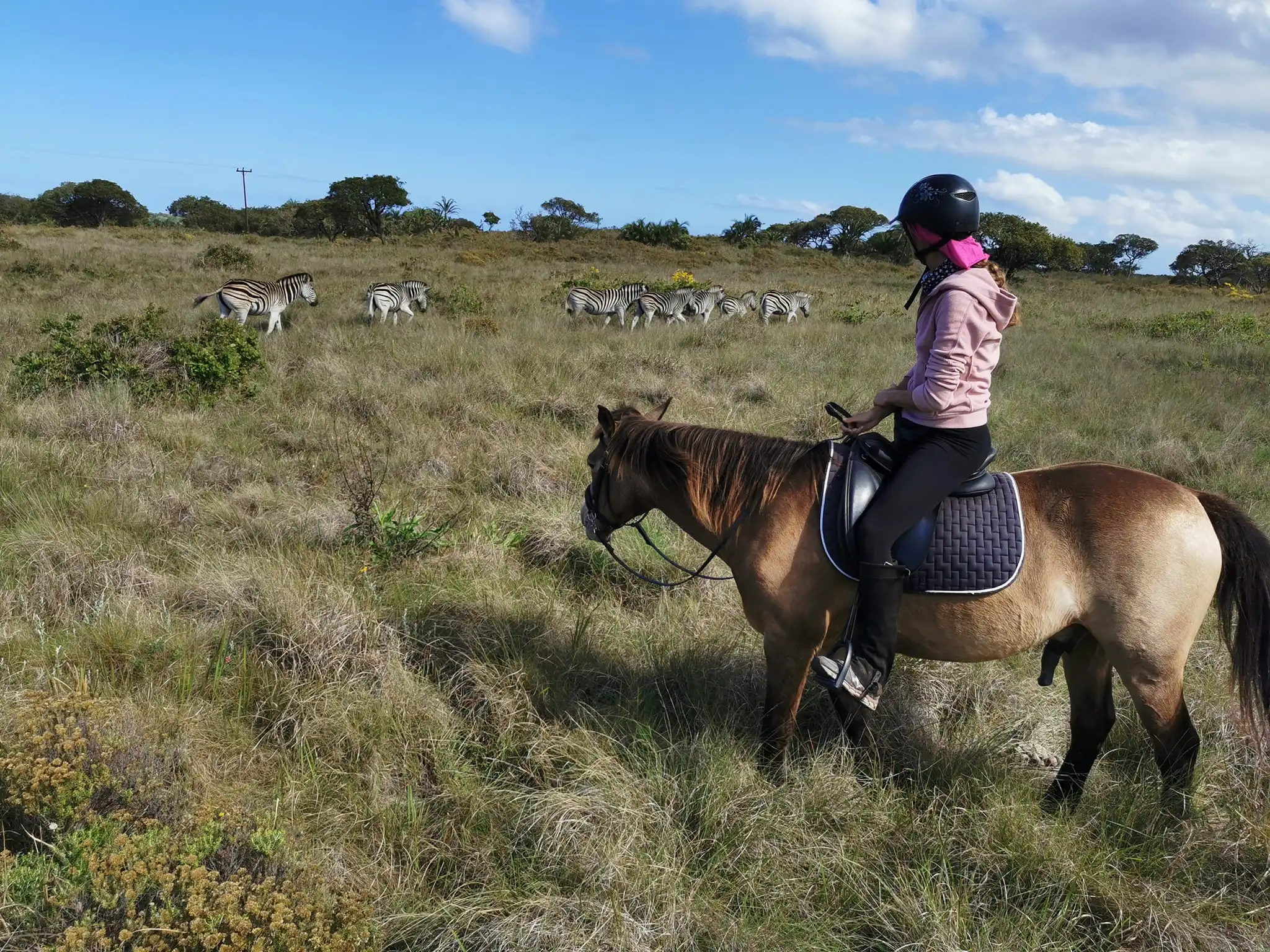 Horse Riding