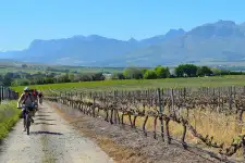 Bicycle Tours