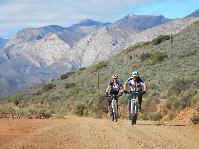 Bicycle Tours